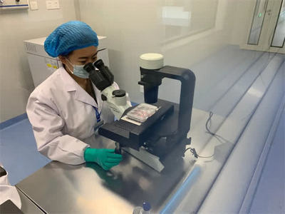 蓄能“創(chuàng)新力” 細胞技術研發(fā)與應用的突破與前景