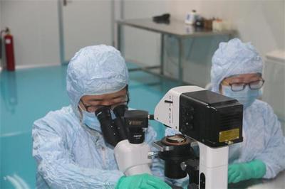 解碼生命密鑰 廊坊康寶匯泰以“種子細胞”技術領航醫(yī)學前沿